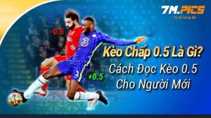 Kèo chấp 0.5 là gì và mẹo bắt kèo chấp 1/2 từ chuyên Gia 