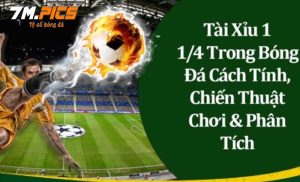 Kèo tài xỉu 1 1/4 là gì