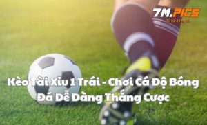 Kèo tài xỉu 1 trái là gì