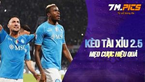 Kèo tài xỉu 2.5 là gì