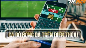 Cá độ bóng đá trên điện thoại