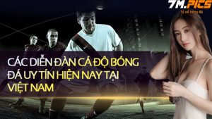 Diễn đàn cá độ bóng đá uy tín