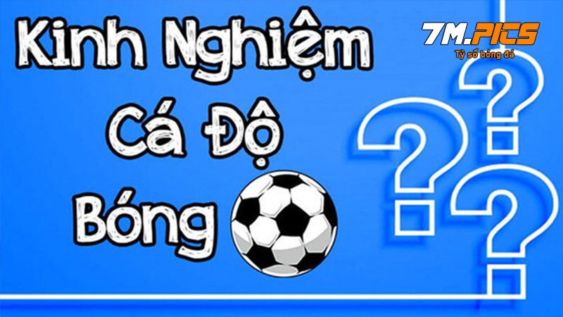 Hiểu rõ các loại kèo 3 cửa để có những chiến thuật phù hợp